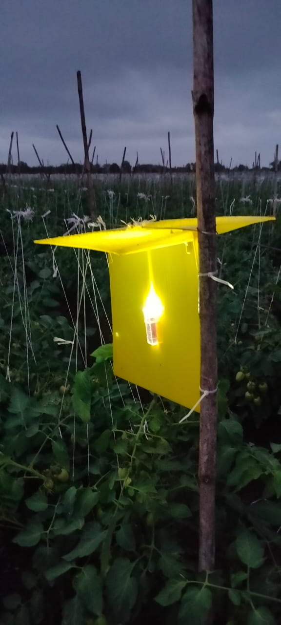 Eco-Pestrap Night Mode